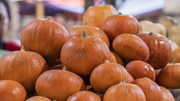 Вместо Хеллоуина: в России предложили учредить фестиваль урожая в конце октября